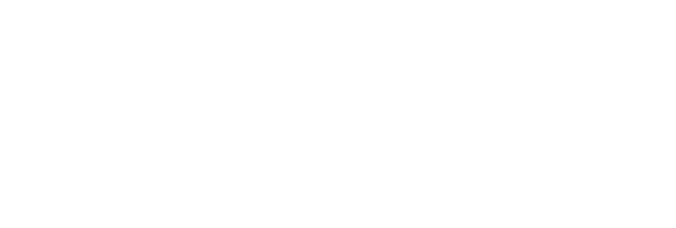 Logo SARECA blanc