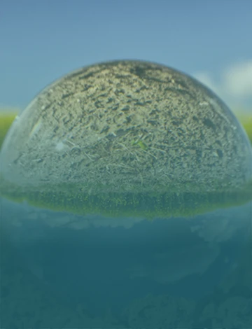 boule